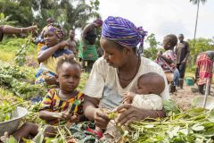 Sierra Leone, Hawa harvesting peanuts