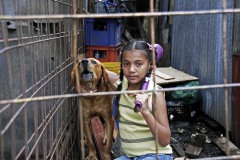 Costa Rica, San Jose, Precario, girl and dog