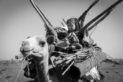 Afar child on camel