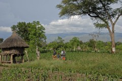 Ethiopia, Konso area new farmland