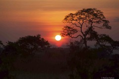 Angola, sunset