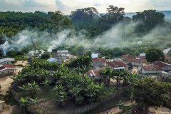 Guinea, village in rain forest