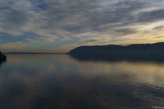 Lago Maggiore, Verbani