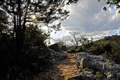 Sardinia, small path in sunset