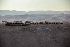 Bedouin camp west bank