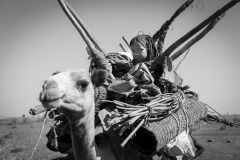 Ethiopia, Afar nomad child on camel