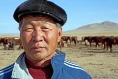 Mongolian shepherd